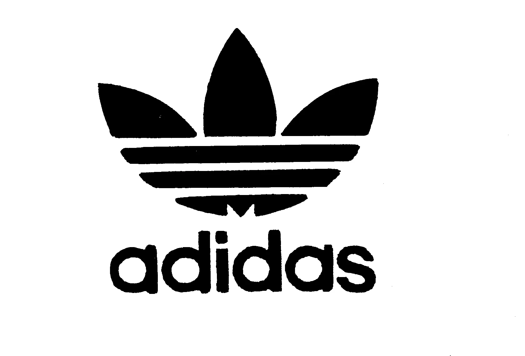 40-logo