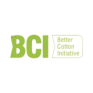 BCI Logo