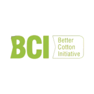 BCI Logo